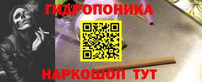 дмт Бердск