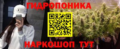 дживик Аша