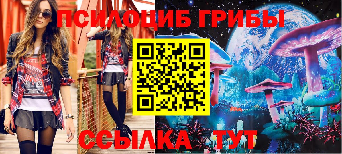 Галлюциногенные грибы GOLDEN TEACHER Нальчик